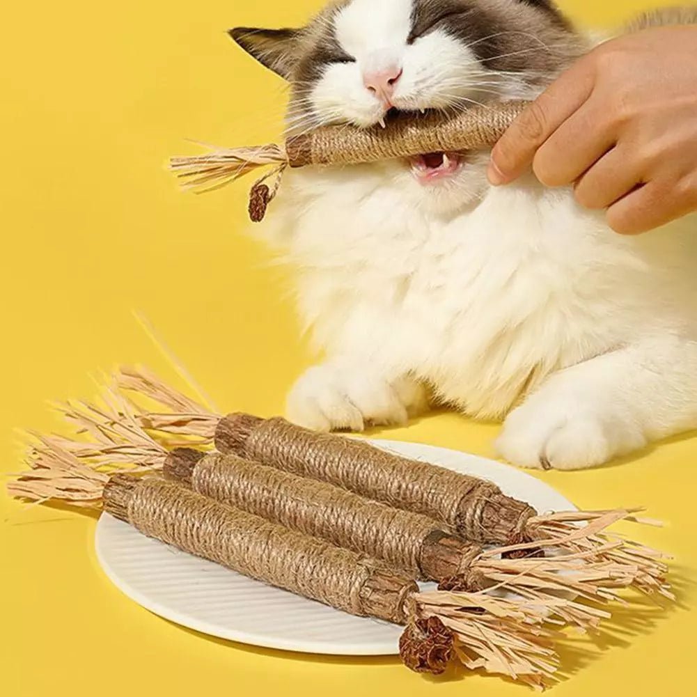 Bâton à mâcher pour chat - PurrStick™ - Chat Récréatif