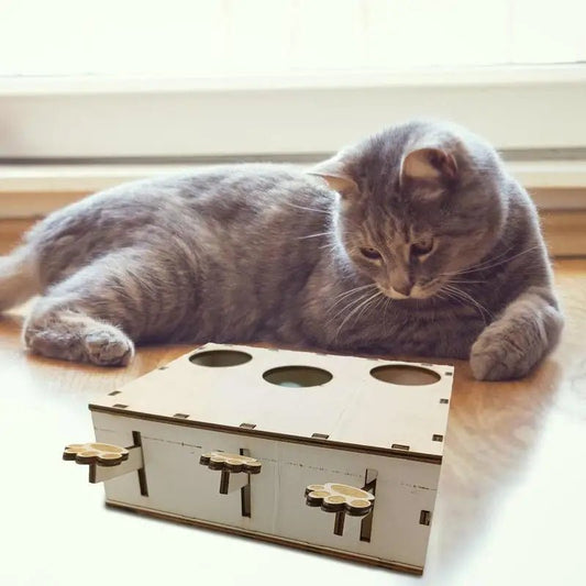 Jouet Interactif Chat - CatWhack™ - Chat Récréatif
