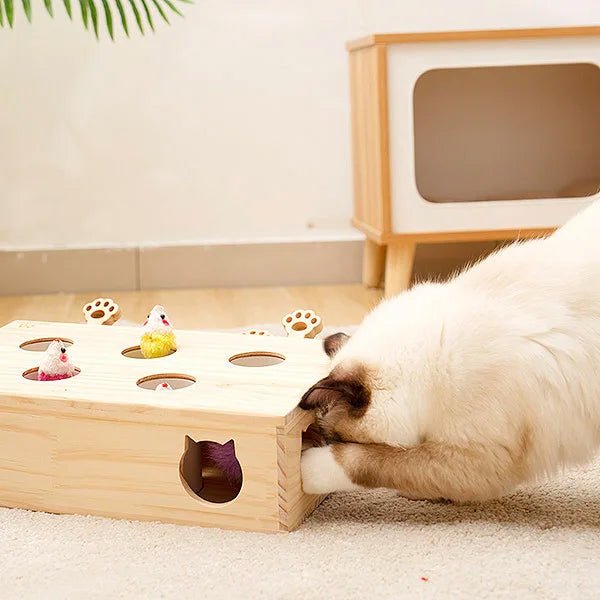 Jouet Interactif Chat - WoodMole™ - Chat Récréatif