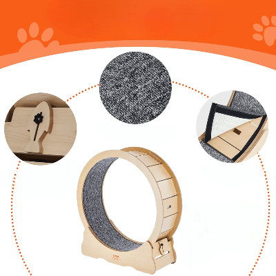 Roue Chat - KittyTread™ - Beige - Chat Récréatif